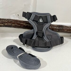 Small Gray Padded Dog Harness with Matching Leash